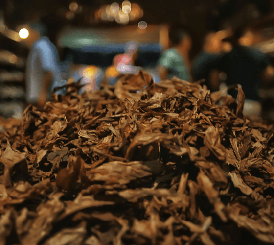 tobacco-about